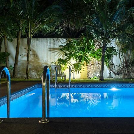 Casa Das Clivias Ponta Delgada المظهر الخارجي الصورة