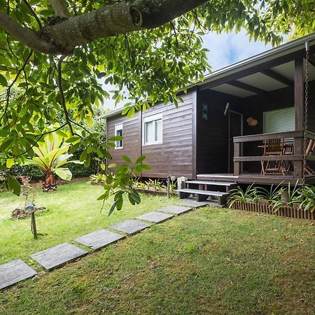 Casa Das Clivias Ponta Delgada المظهر الخارجي الصورة