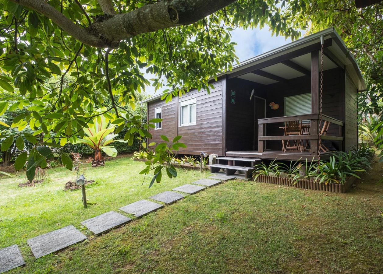 Casa Das Clivias Ponta Delgada المظهر الخارجي الصورة